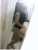 Kendi Evi Olan Ankara Escort Bayan Niran - Image 1